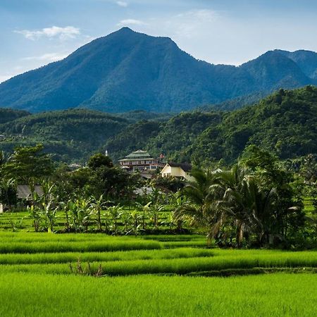 Rizen Padjadjaran Hotel Bogor Eksteriør bilde