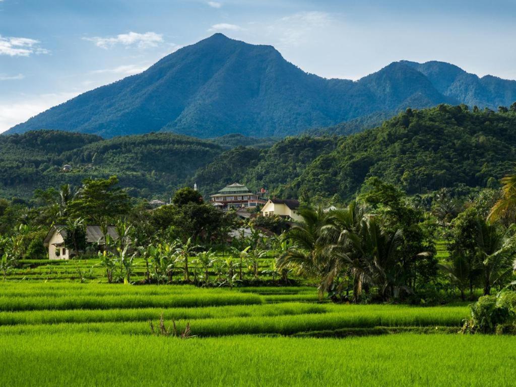 Rizen Padjadjaran Hotel Bogor Eksteriør bilde